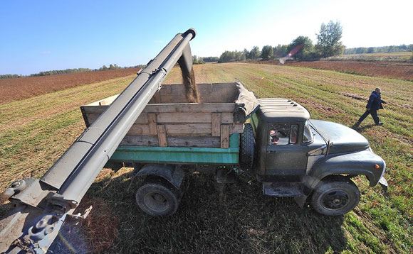 Рост цен на гречку объясняют неурожаем в Сибири