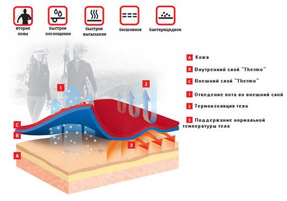 Принцип действия термобелья