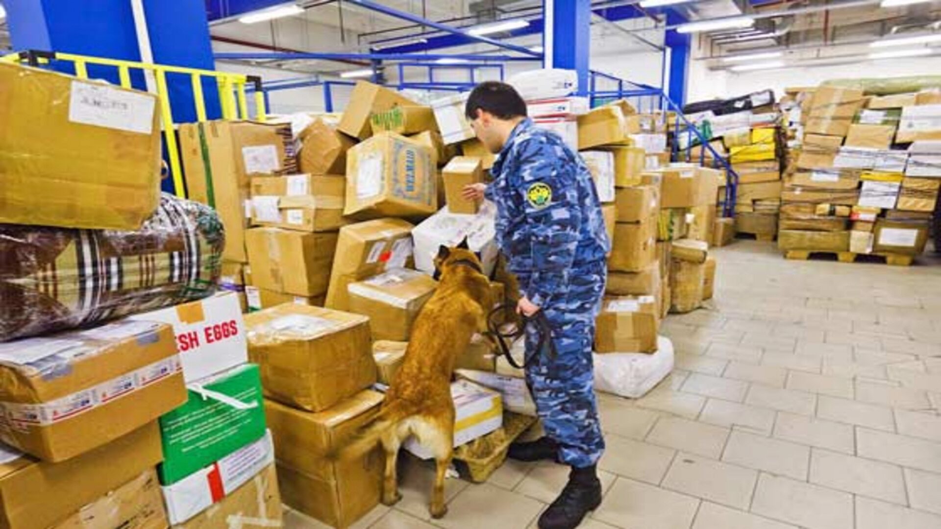 Трек-номера позволяют посылкам не теряться Трек-номера позволяют посылкам не теряться