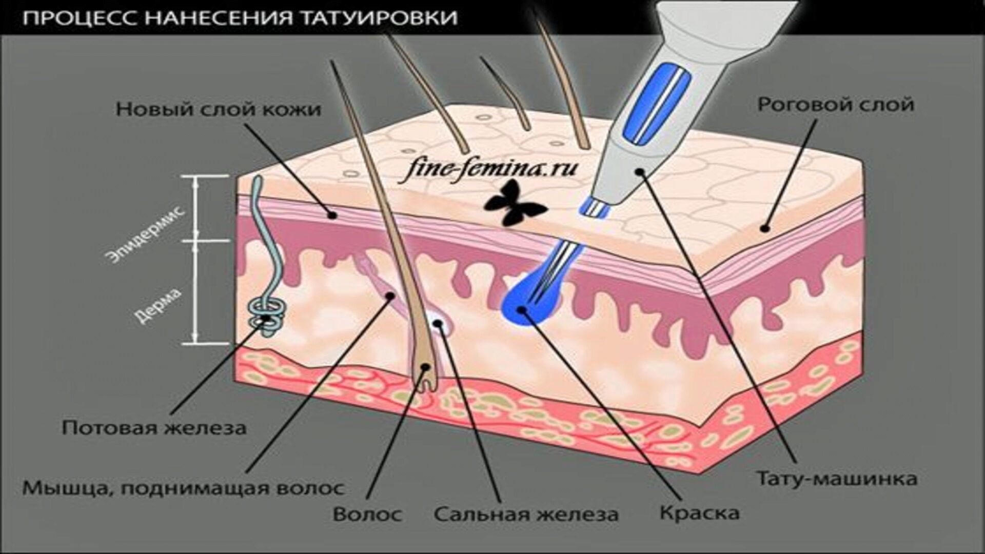 Процесс нанесения татуировки