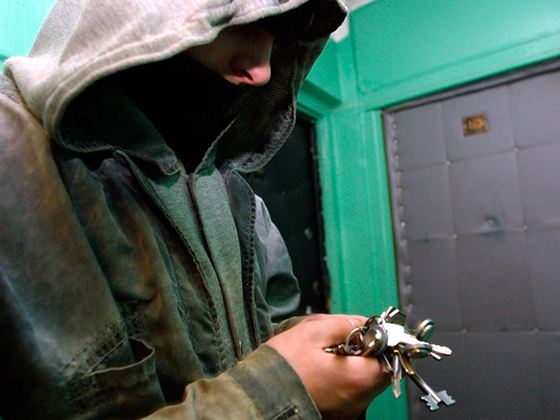 Проникновение в частную собственность составляет более 50% от всего количества преступлений Проникновение в частную собственность составляет более 50% от всего количества преступлений