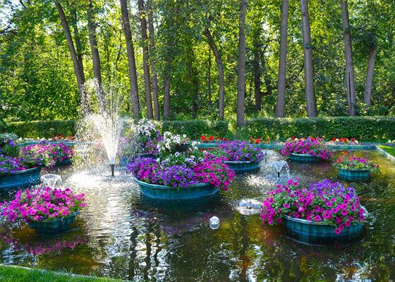 Многие парки в Москве живут естественной жизнью, которую им подарила природа Многие парки в Москве живут естественной жизнью, которую им подарила природа