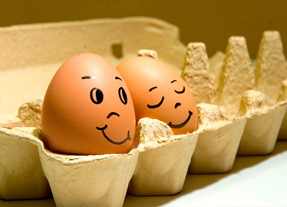 Куриные яйца – очень важный продукт для населения многих стран Куриные яйца – очень важный продукт для населения многих стран