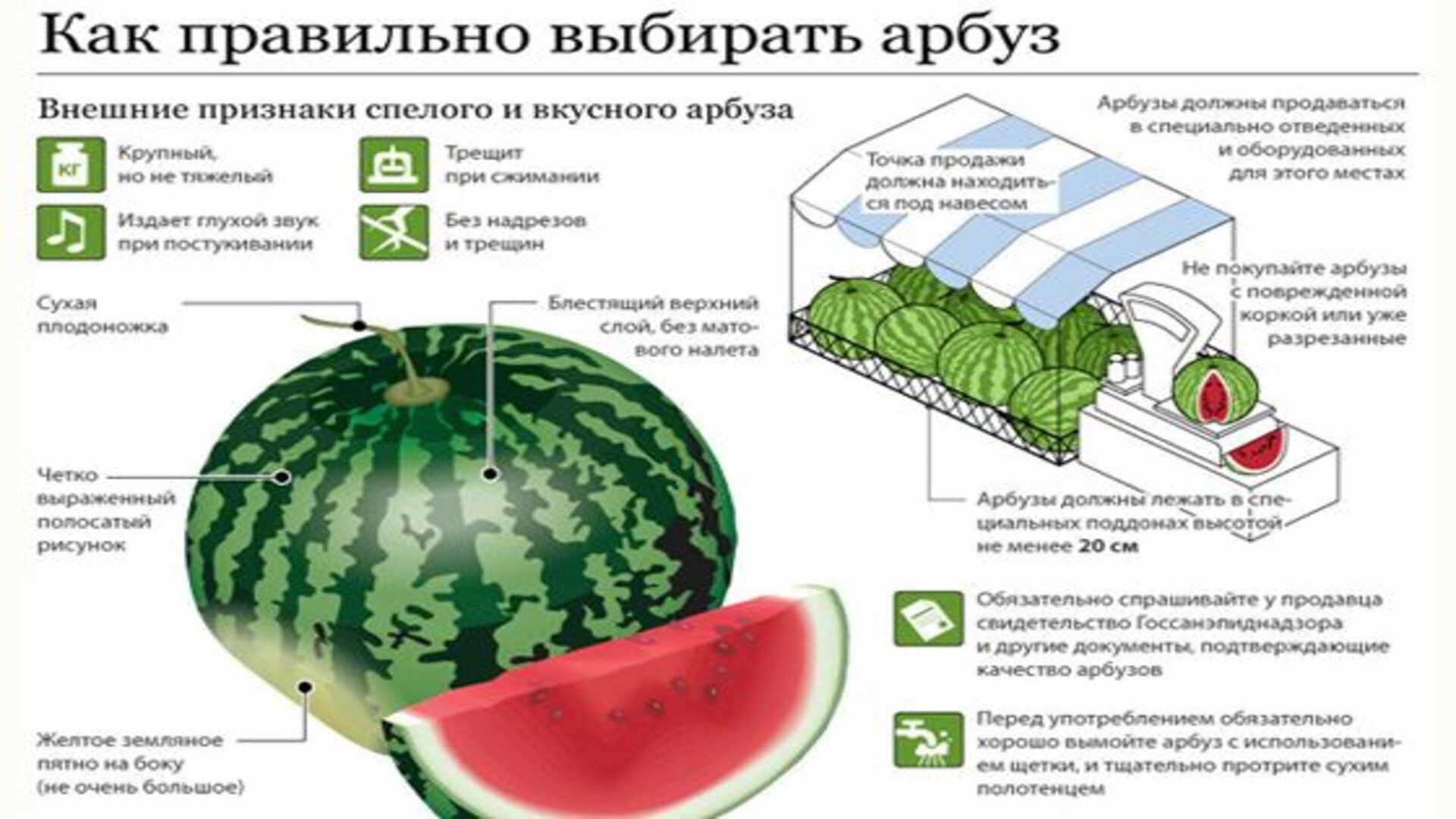 Советы по выбору арбуза Советы по выбору арбуза