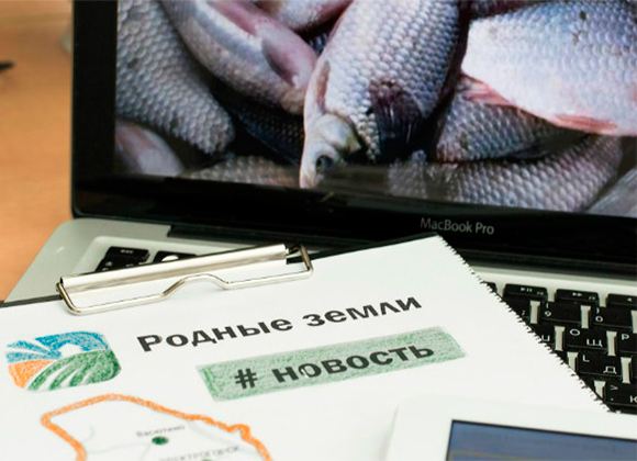 Рыбное хозяйство в подмосковном Павловском Посаде планирует открыть компания «Родные земли» Рыбное хозяйство в подмосковном Павловском Посаде планирует открыть компания «Родные земли»