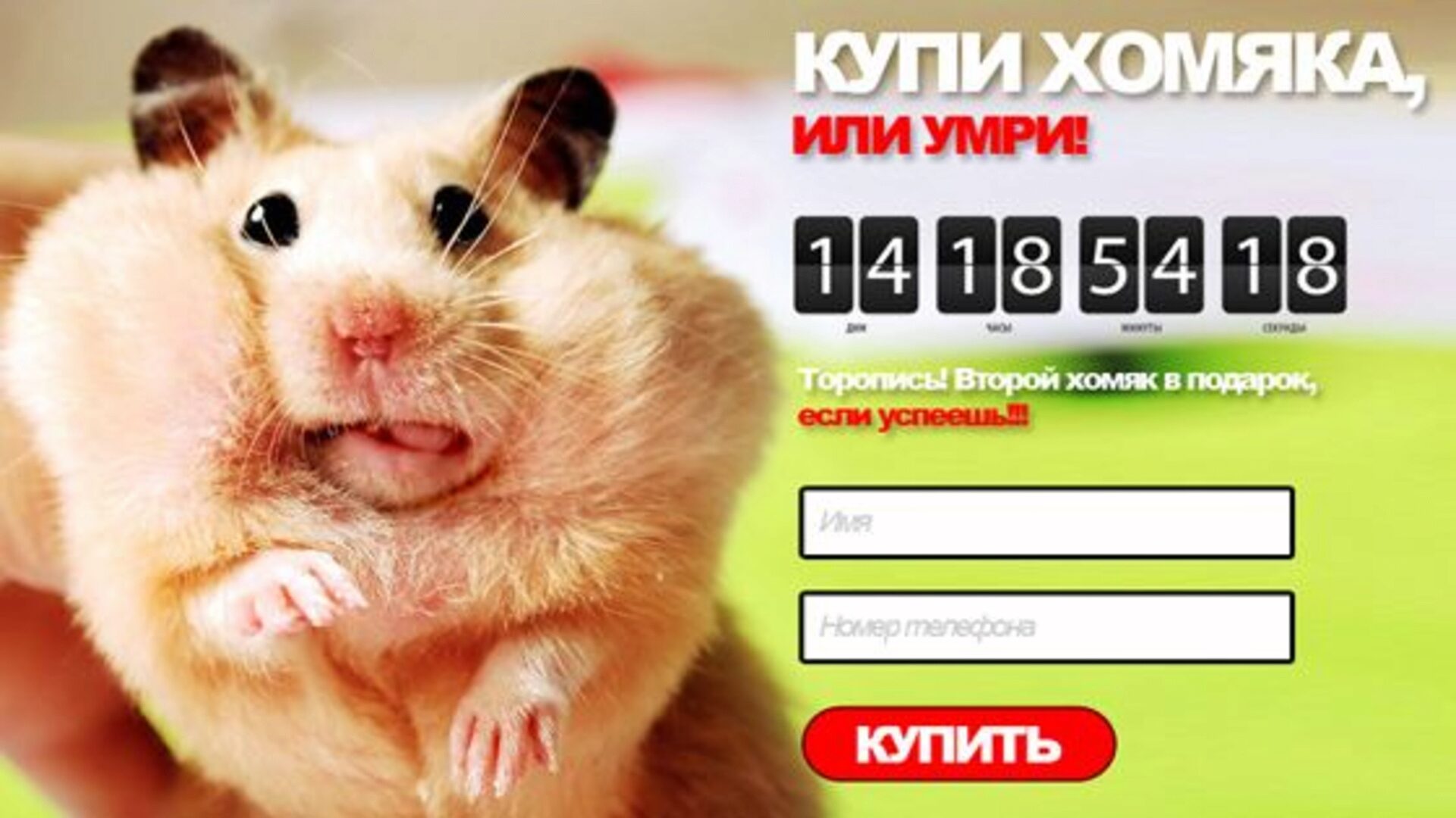 Лендинг может привести вам клиентов Лендинг может привести вам клиентов