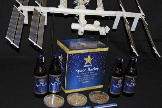 Космическое пиво Sapporo Space Barley