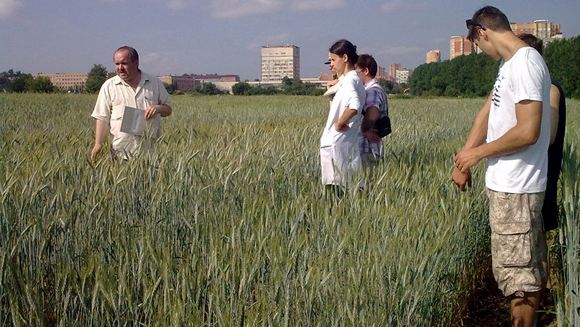 На полях Тимирязевской академии проводятся эксперименты и обучение студентов