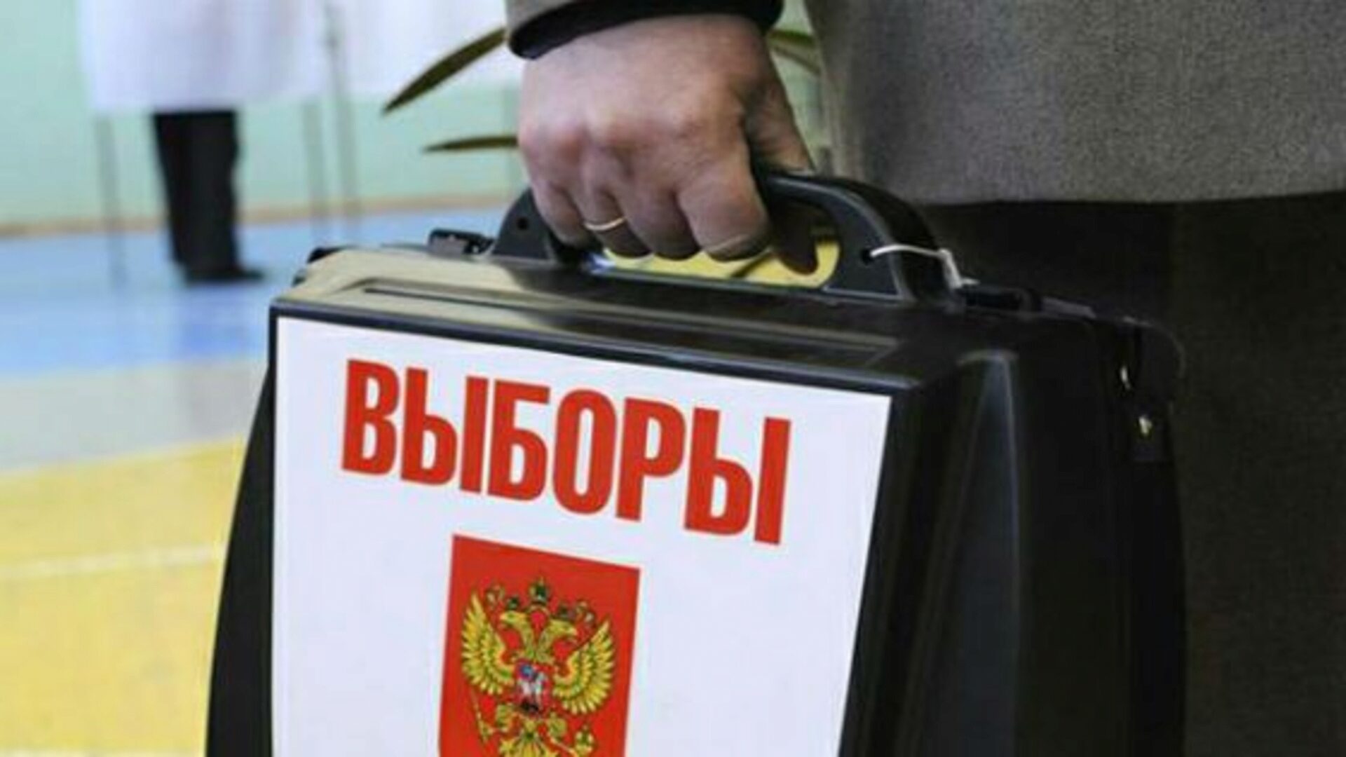 Свобода волеизъявления гарантируется Конституцией Свобода волеизъявления гарантируется Конституцией