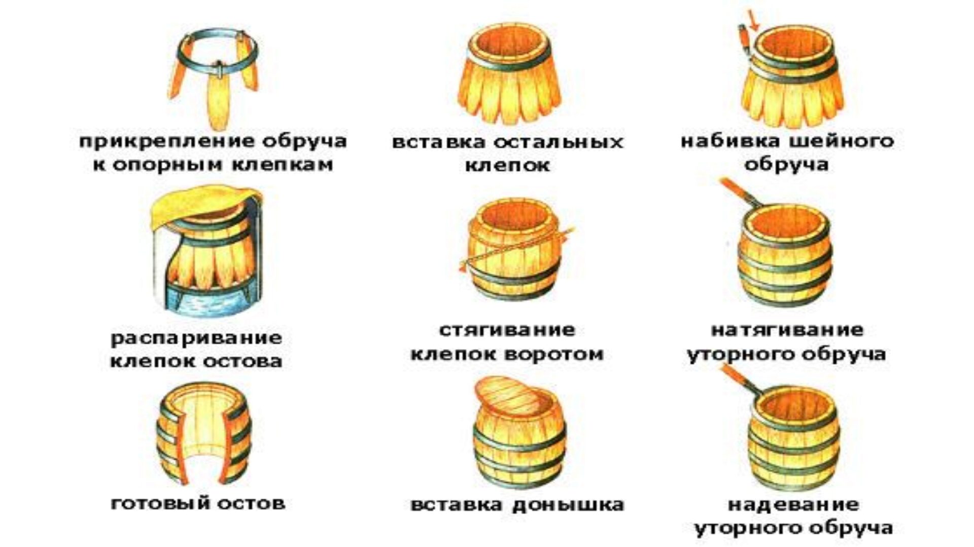 Этапы изготовления бочек Этапы изготовления бочек