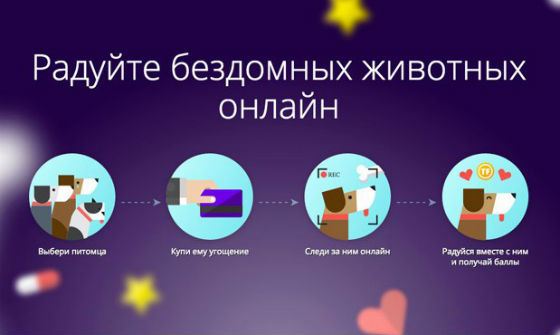 Помогать бездомным животным очень просто! Помогать бездомным животным очень просто!