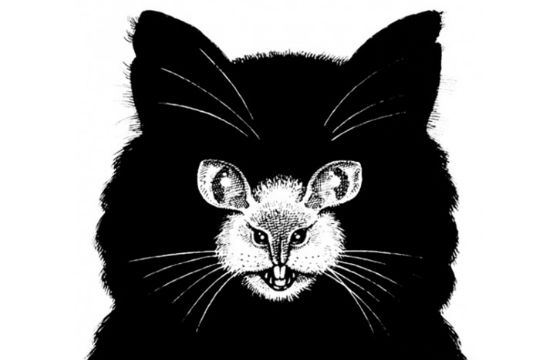 Кошка или мышь? Кошка или мышь?