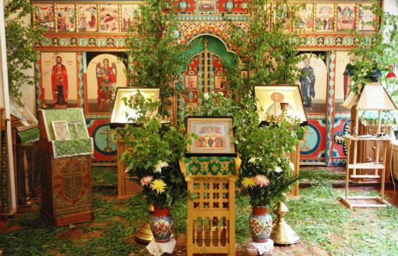 На Троицу березовыми ветками украшают храмы и дома На Троицу березовыми ветками украшают храмы и дома