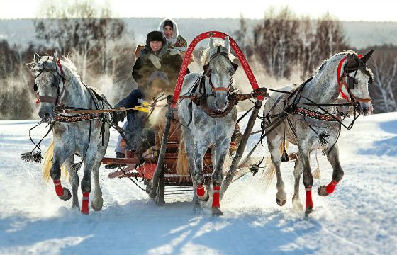 Прокатиться на тройке - веселая забава Прокатиться на тройке - веселая забава
