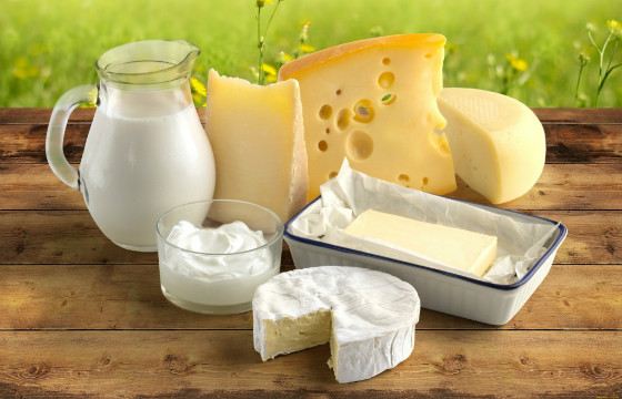 Молочные продукты - источник кальция Молочные продукты - источник кальция