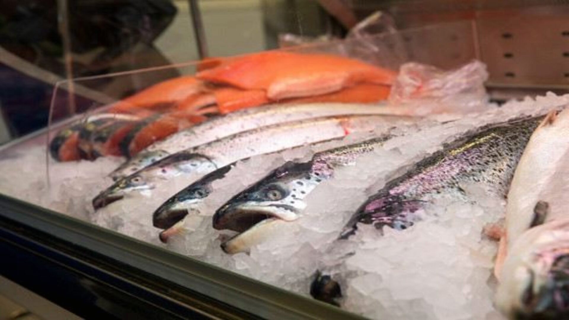 Жильцы могут быть против нового рыбного магазина или закусочной Жильцы могут быть против нового рыбного магазина или закусочной