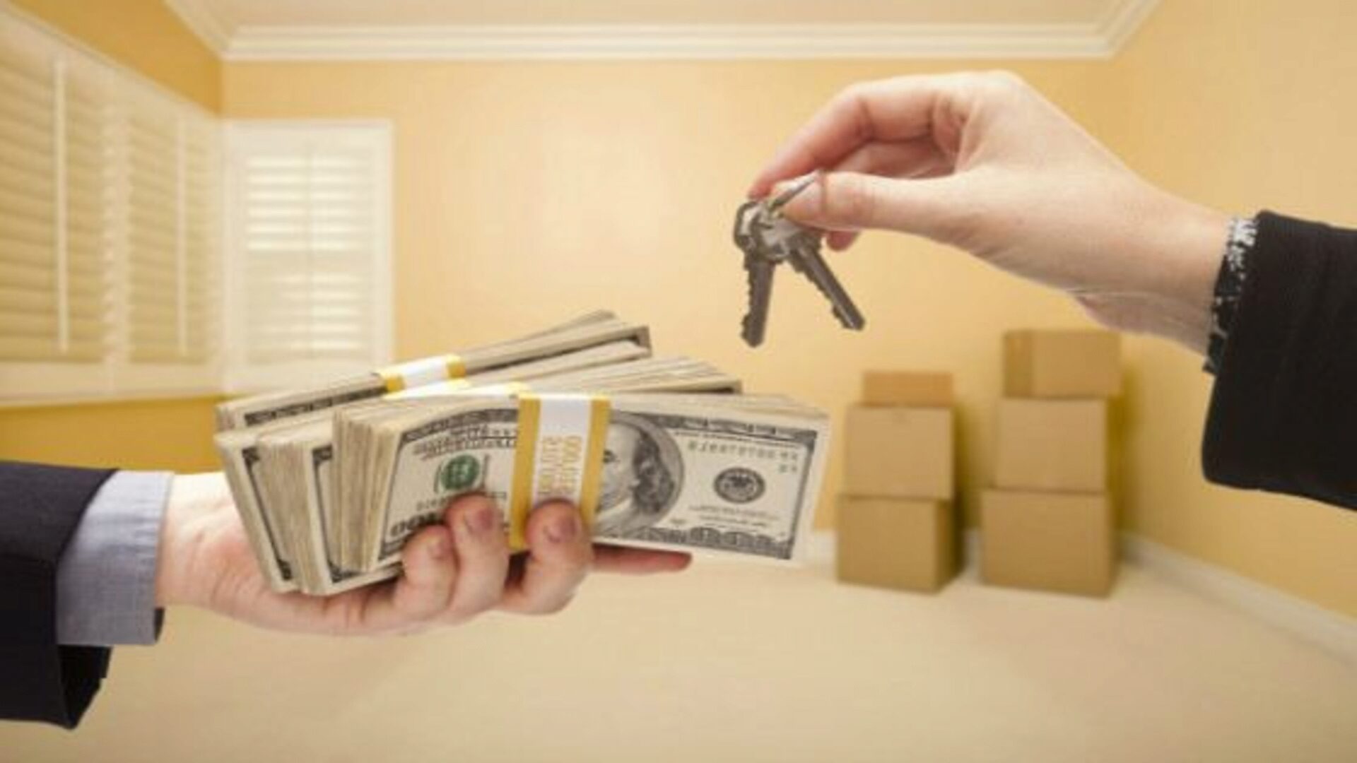 Перед покупкой квартиры для бизнеса нужно собрать много документов Перед покупкой квартиры для бизнеса нужно собрать много документов