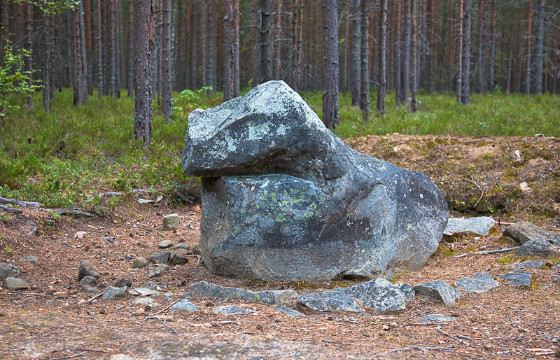 Лягушка - считалась покровительница дома