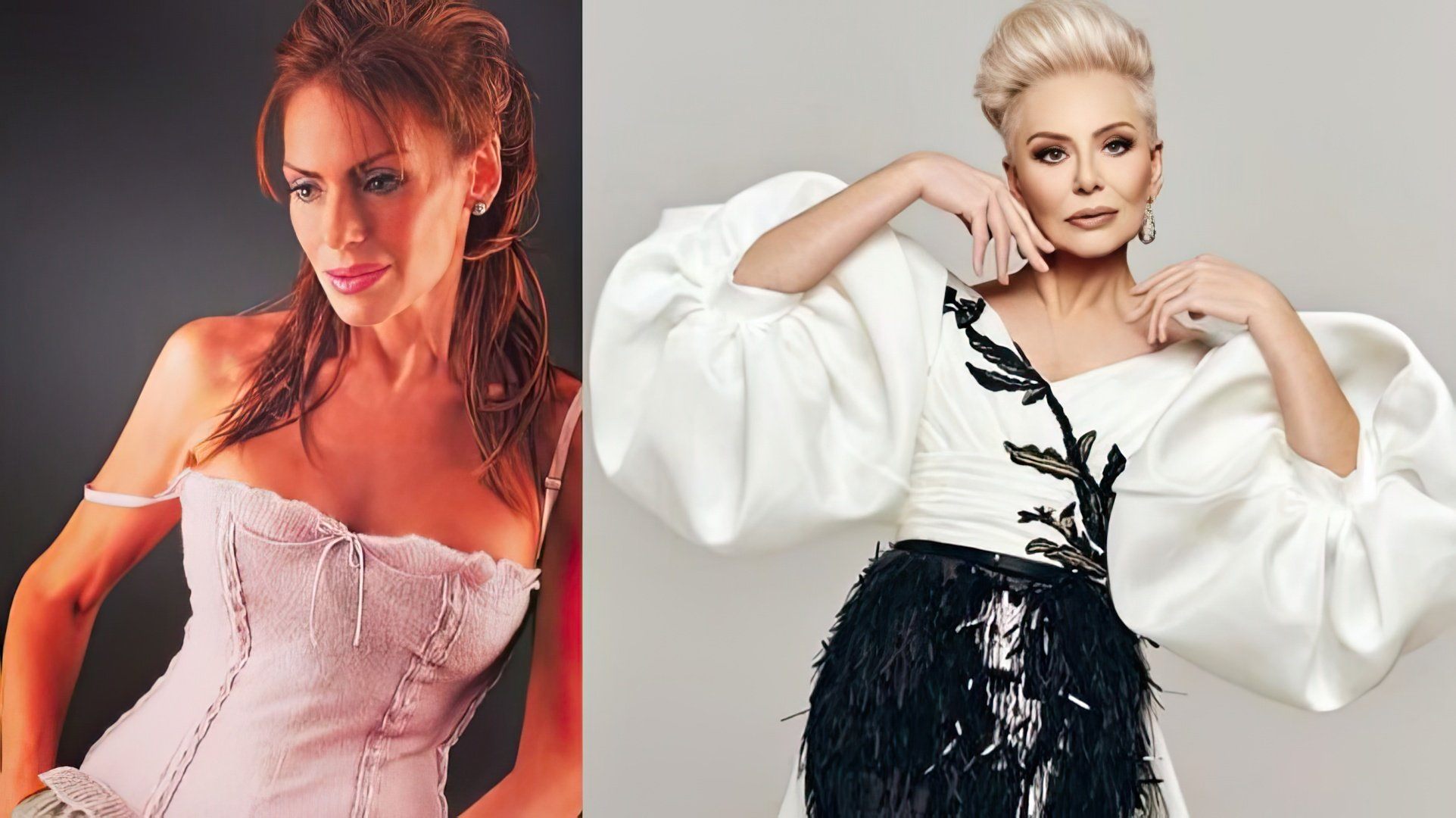 Ирина Понаровская в молодости и сейчас